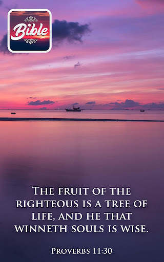 Commentary study Bible offline screenshot 16