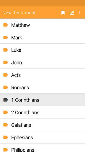 New Testament screenshot 2