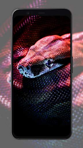 Snake Wallpapers screenshot 8