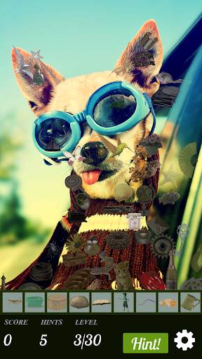 Hidden Object - Travelling Pets screenshot 4