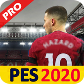 ikon PES 20 PRO GUIDE