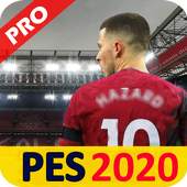 PES 20 PRO GUIDE FEEE&amp;amp;GROW