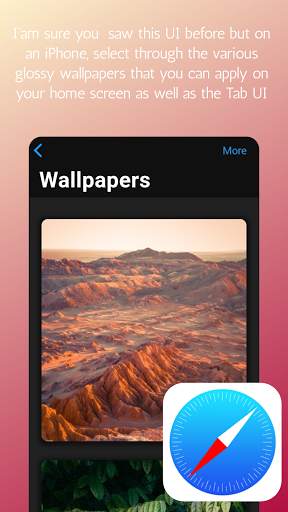 iOS 14 Browser,desktop browser,web browser to ios screenshot 4