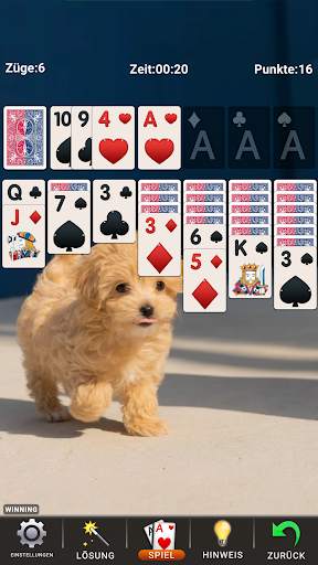 Solitär Klassisches Solitaire screenshot 6