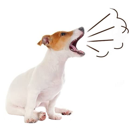 Animal Sounds icon