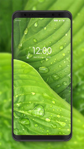 HD Wallpapers & Backgrounds - 4K Wallpapers screenshot 7
