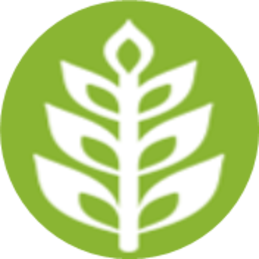 VKS CAPI - Prague 1.0.0.T7 icon