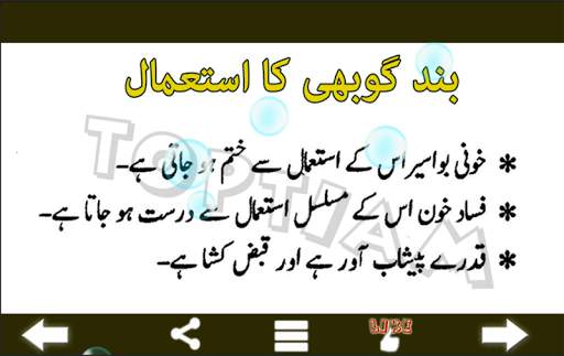 Sabzio Se Ilaj : Urdu screenshot 6