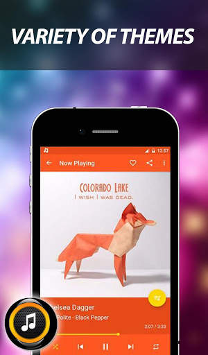 My Photo Music Player – Picture in Background screenshot 3