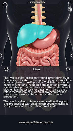 Organs Anatomy Pro. screenshot 3
