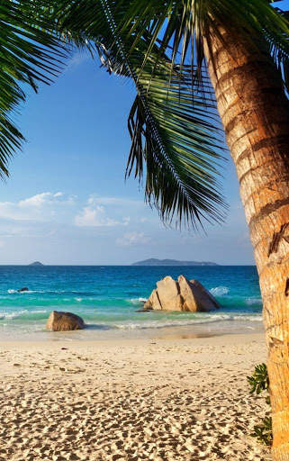 Beach HD Wallpaper screenshot 3
