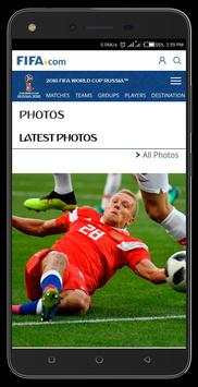FIFA WORLD CUP 2018 screenshot 7