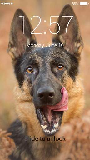 German Shepherd Dog Lock Screen screenshot 4