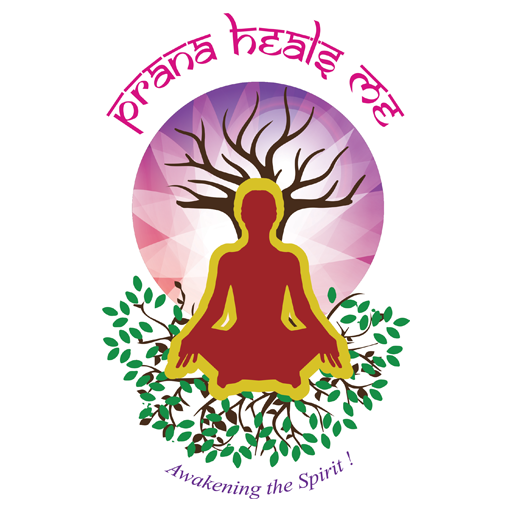 Prana Heals Me: Guided Meditation &amp; Healing. icon