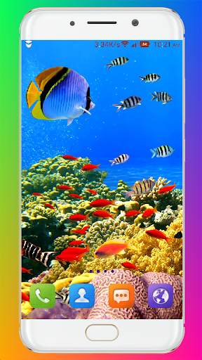Aquarium Wallpaper HD screenshot 10