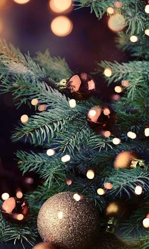 New Year Live Wallpaper (Backgrounds HD) screenshot 2
