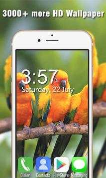 Bird Live Wallpapers HD screenshot 2