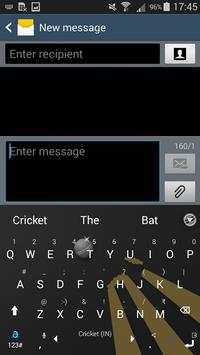World Cup Cricket Theme screenshot 4