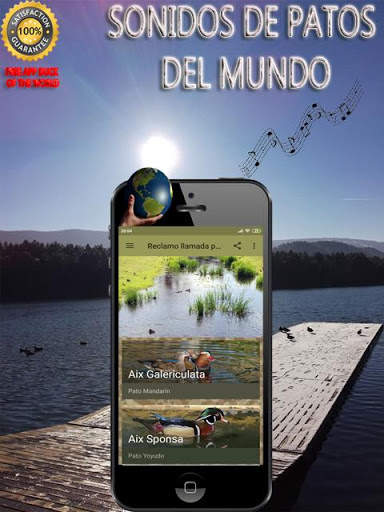 Claim called ducks: Sounds aquatic birds screenshot 1