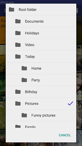 Gallery Safe screenshot 4