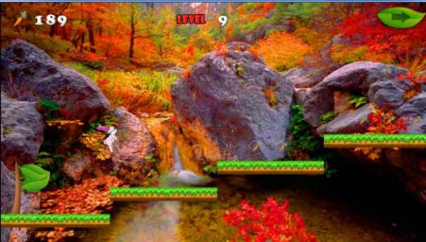 The Bunny Game-Run Run Run 2 D screenshot 4