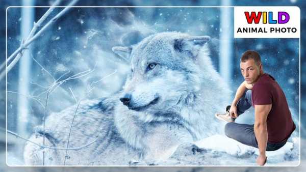 Wild Animal Photo Frames - Photo Editor screenshot 7