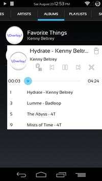 Overlay Music Player screenshot 2