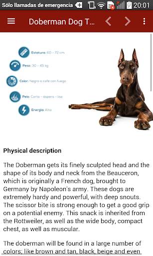 Doberman Dog Training screenshot 10