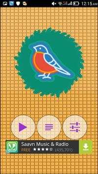 Crazy Bird Puzzle screenshot 2