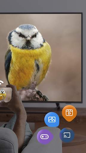 HD Video Screen Mirroring screenshot 2