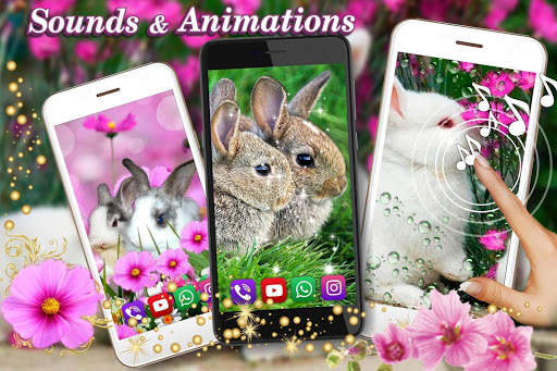 Funny Bunnies Live Wallpaper screenshot 8
