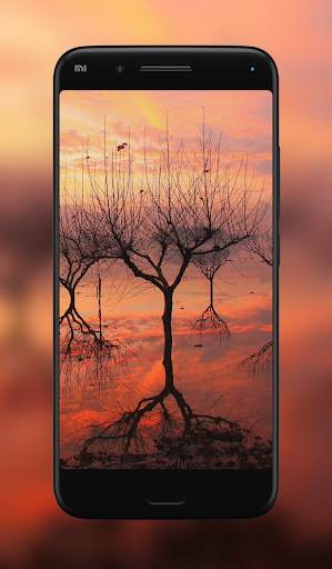Nature Wallpaper screenshot 4