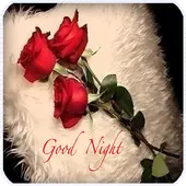 Good Night SMS & Images 1.2