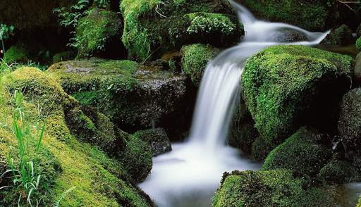 Nature Backgrounds HD 5 تصوير الشاشة