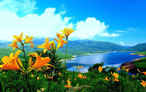 Nature Live Wallpaper screenshot 6