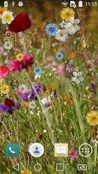 Spring live wallpaper screenshot 5