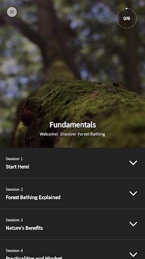 Forest Bathing Life screenshot 4