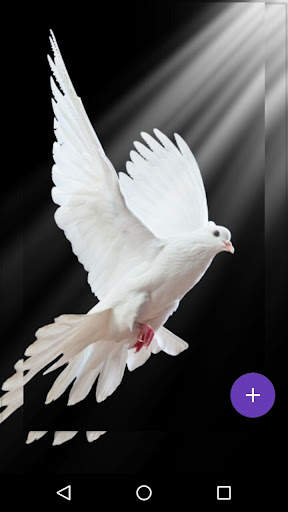 Flying Birds Live Wallpaper screenshot 5