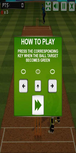 Cricket screenshot 3