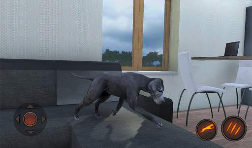 Simulator Anjing Great Dane screenshot 15