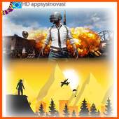 Only PUBG Wallpapers 1.0