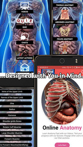 ONLINE Anatomy - Videos, Quizzes and Chats. screenshot 7