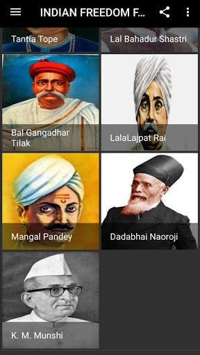 INDIA FREEDOM FIGHTERS screenshot 4