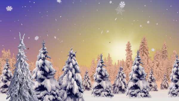 Winter Wonderland Free screenshot 6