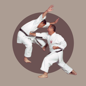 Karimoto Defense Karate Guide icon