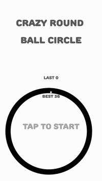 Gila Putaran Bola Lingkaran screenshot 1