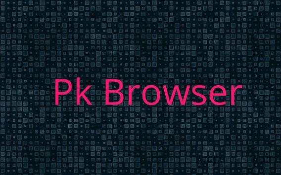 Pk Browser screenshot 2