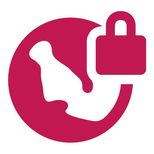 VPN SSH 1.0