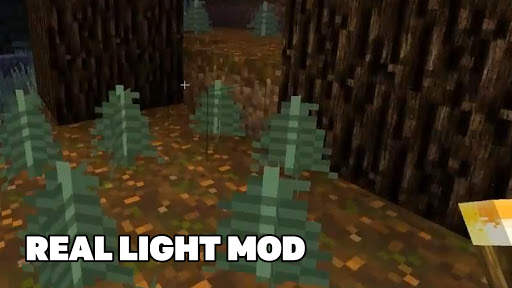 🔥 Dynamic Mod for Minecraft PE 🔥 screenshot 2