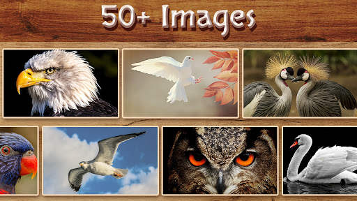 Bird Jigsaw screenshot 2